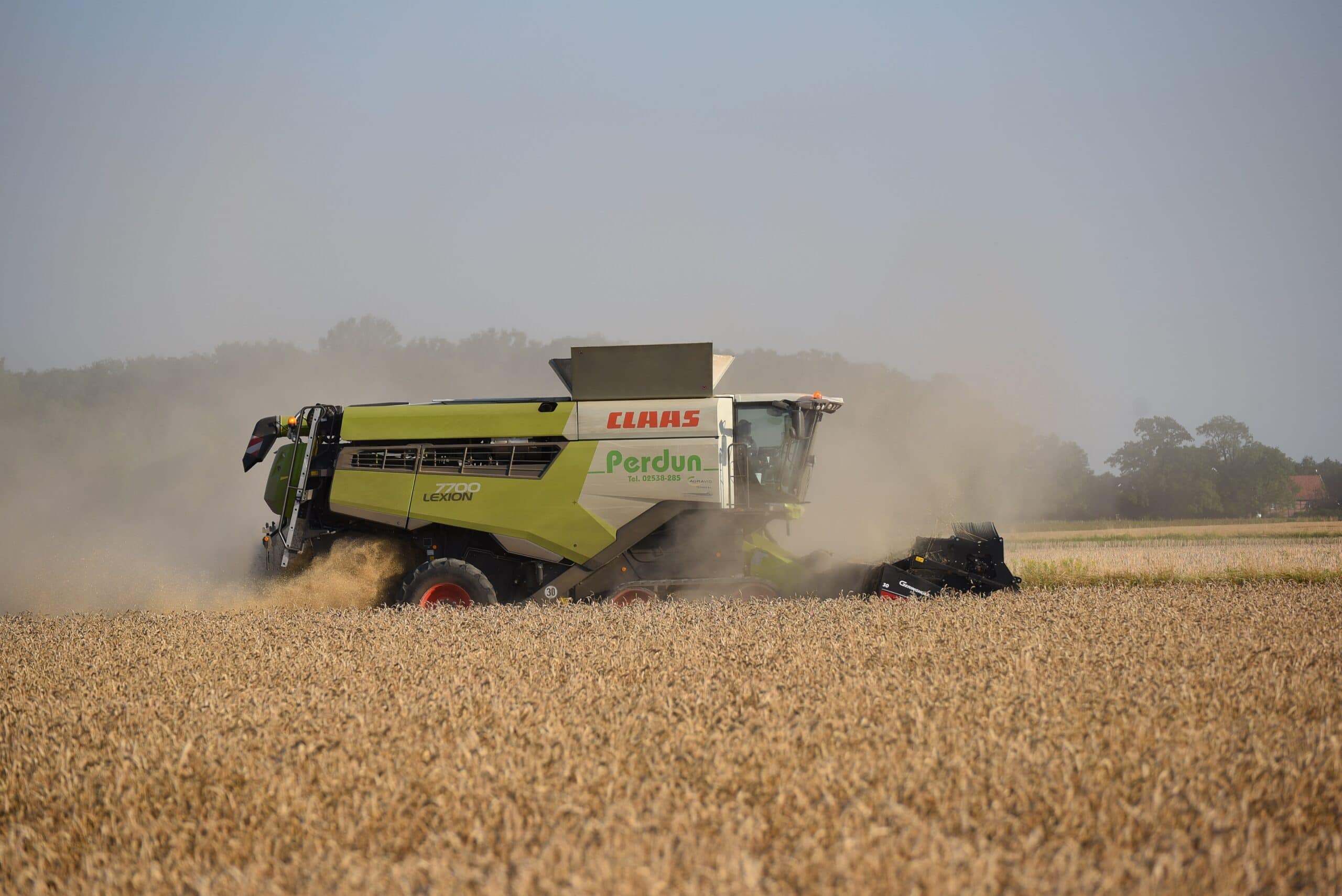 Mähdrescher auf einem staubigen Feld bei der Ernte. Beige Maschine mit Schriftzug "CLAAS Perdum".