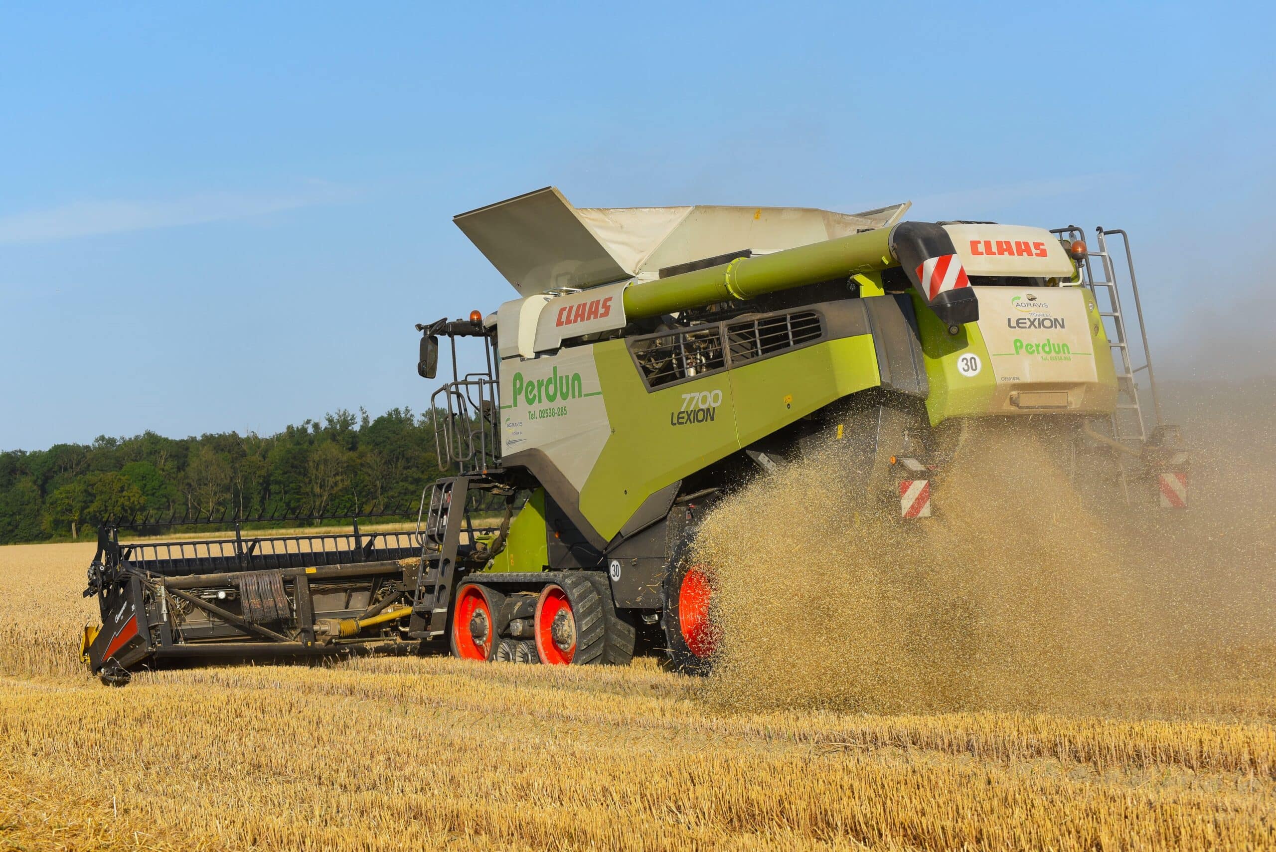 Ein grüner CLAAS Mähdrescher erntet Getreide auf einem goldenen Feld, Staub wird aufgewirbelt.