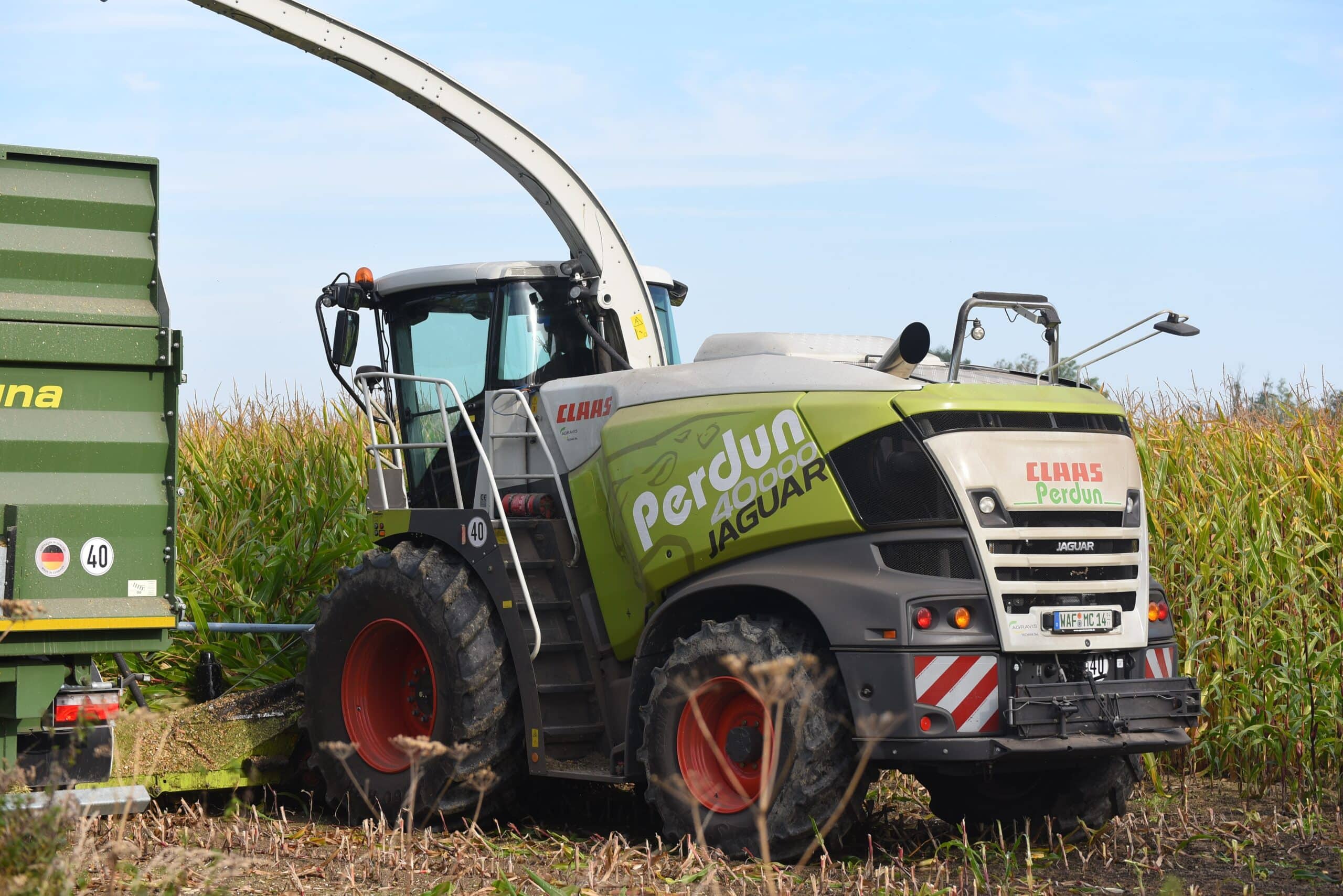 Ein grüner Claas Jaguar Feldhäcksler erntet Mais. Der Himmel ist blau und das Feld ist dicht bepflanzt.