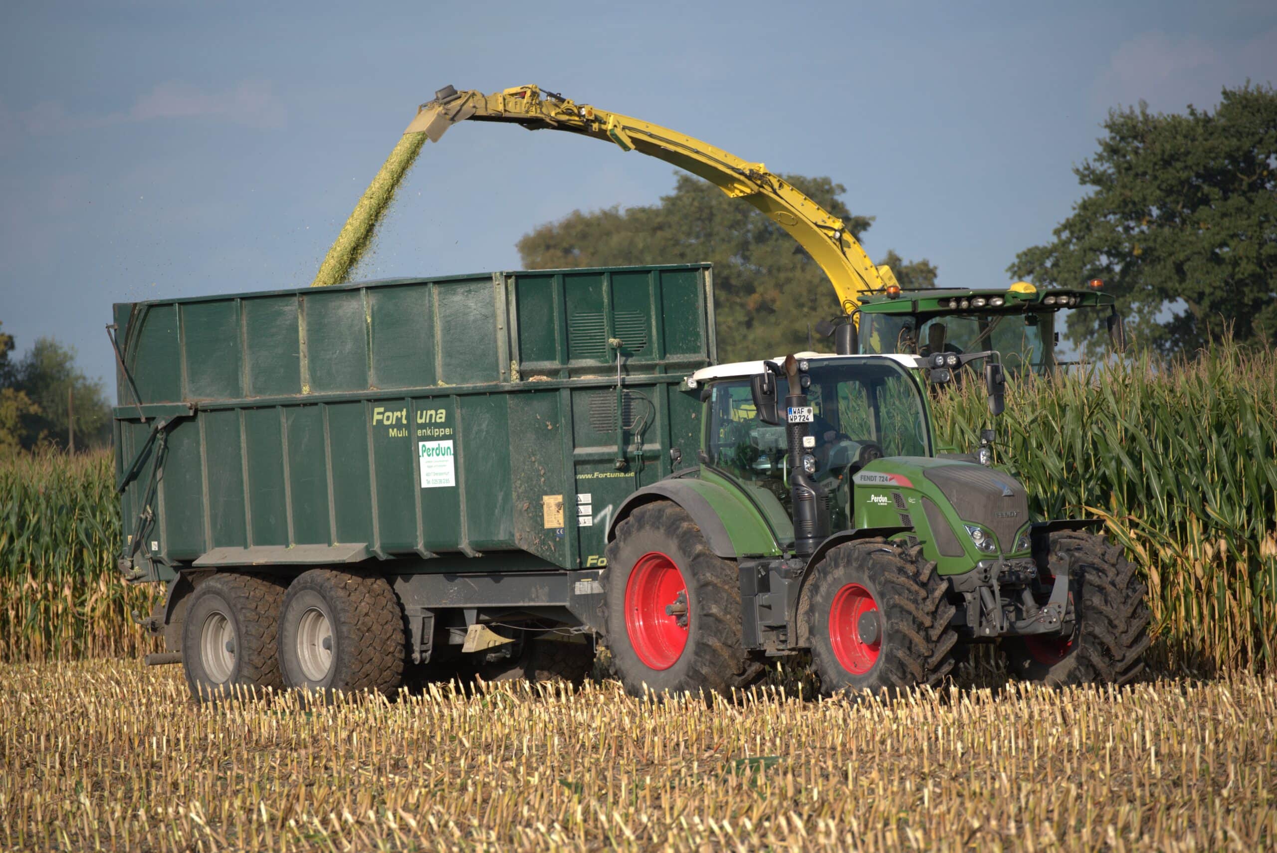 Ein großer grüner Traktor auf einem Feld, der grüne Anhänger mit Erntegut füllt.